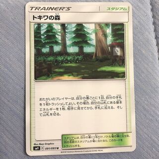 トキワの森 戒めの祠付き