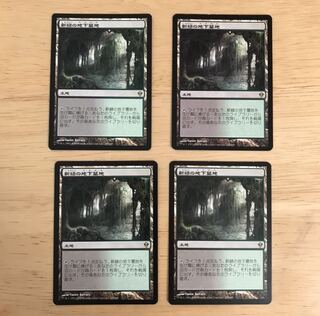 新緑の地下墓地　日本語版　4枚セット