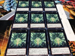 メリアスの木霊 レア 9枚セット てら