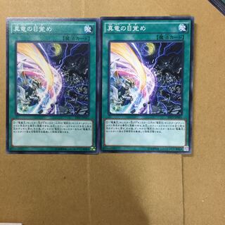 真竜の目覚め　２枚