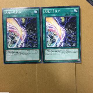 真竜の目覚め　２枚