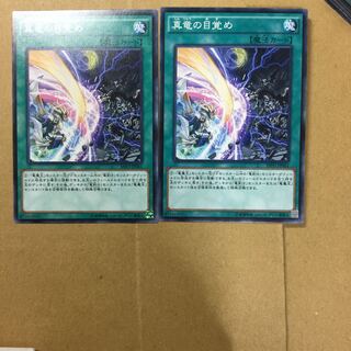 真竜の目覚め　２枚