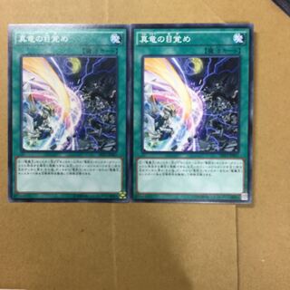 真竜の目覚め　２枚