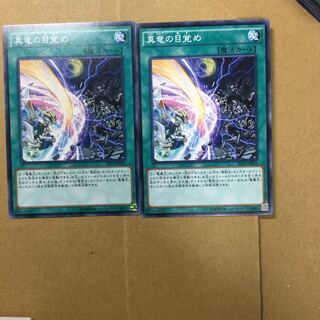 真竜の目覚め　２枚