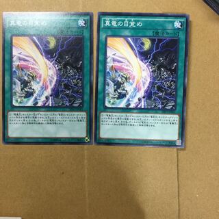 真竜の目覚め　２枚