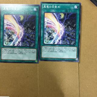 真竜の目覚め　２枚