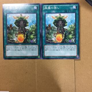 森羅の施し　２枚