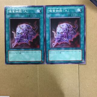 侵食細胞「A」　２枚