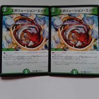 エボリューションエッグ　2枚セット