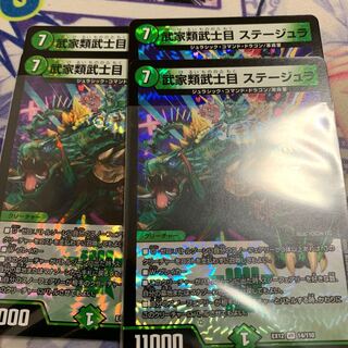 武家類武士目 ステージュラ