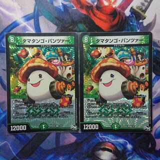 タマタンゴ・パンツァー