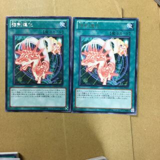 強制進化　２枚