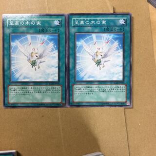 至高の木の実　２枚