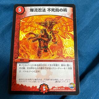 爆流忍法 不死鳥の術