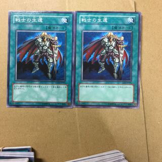 戦士の生還　２枚