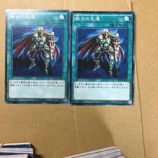 戦士の生還　２枚