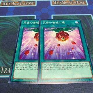 天啓の薔薇の鐘 N