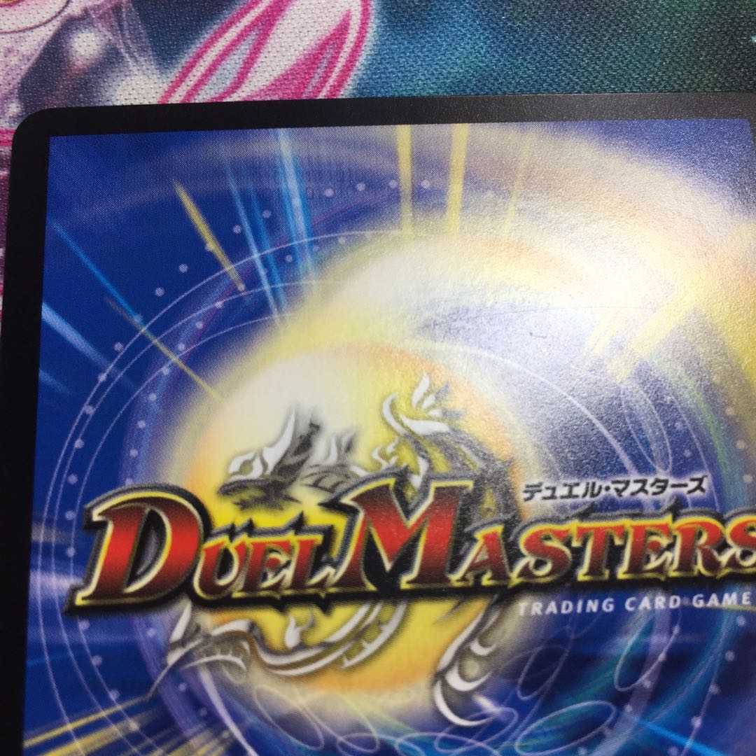 「絶対の楯騎士」