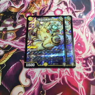 「絶対の楯騎士」