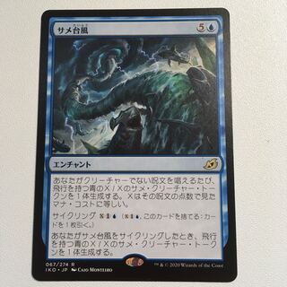 サメ台風　日本語1枚