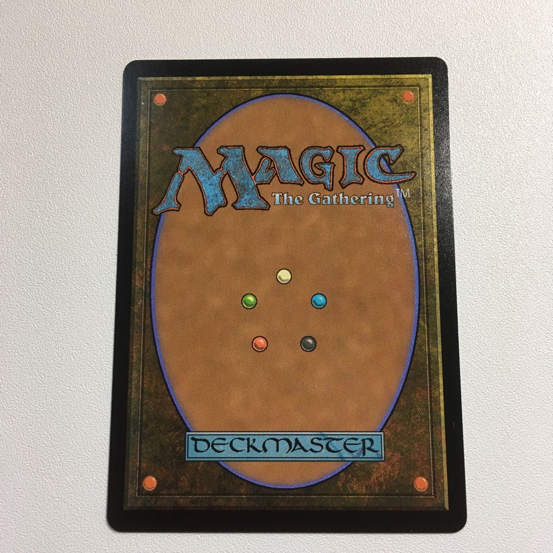 サメ台風 日本語1枚