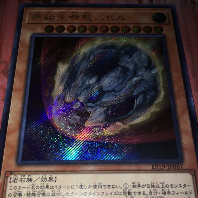 原始生命態ニビルシク