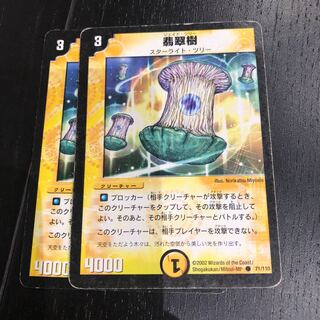 ジェイドツリー 2枚