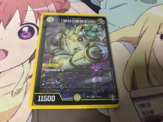 「絶対の楯騎士」