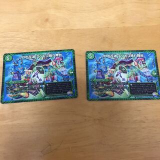 Dの花道 ズンドコ晴れ舞台