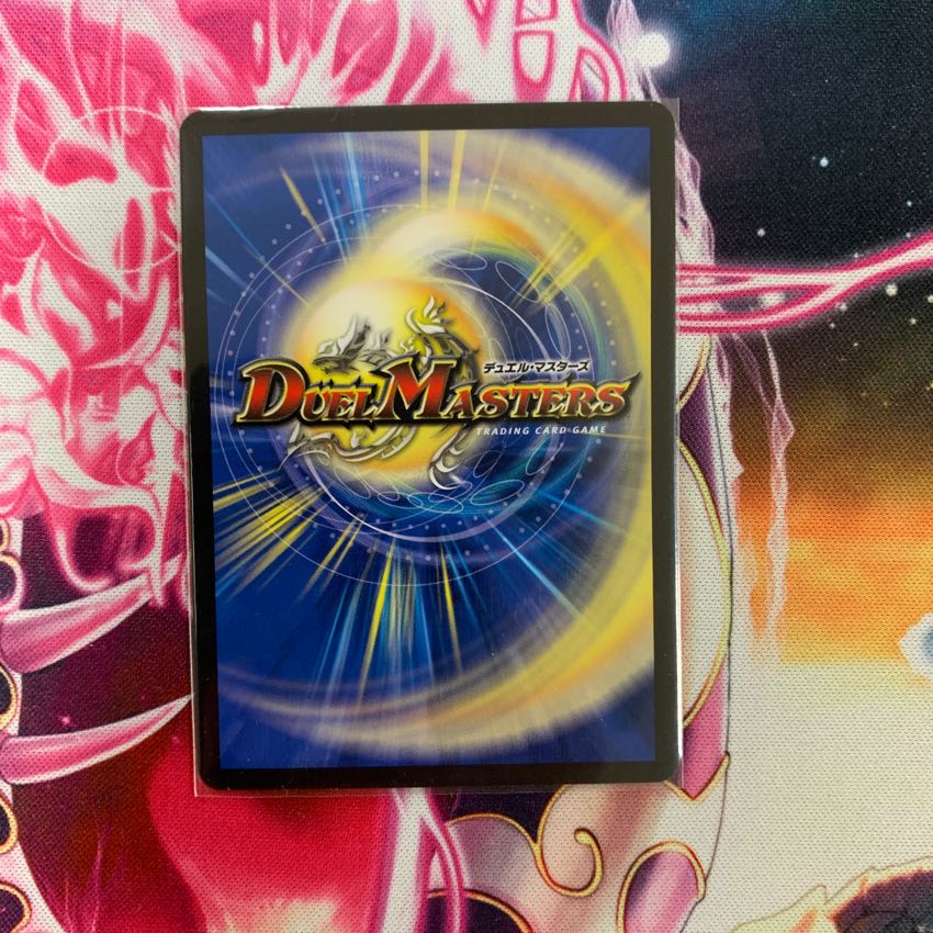 かねごん様専用 1枚