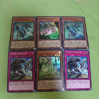 未界域のネッシー×2、ツチノコ、ジャッカロープ