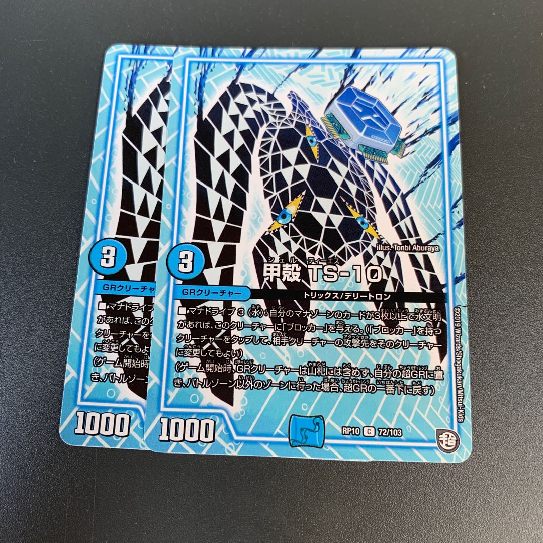 甲殻 TS-10 パスオクタン