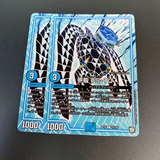 甲殻 TS-10 パスオクタン