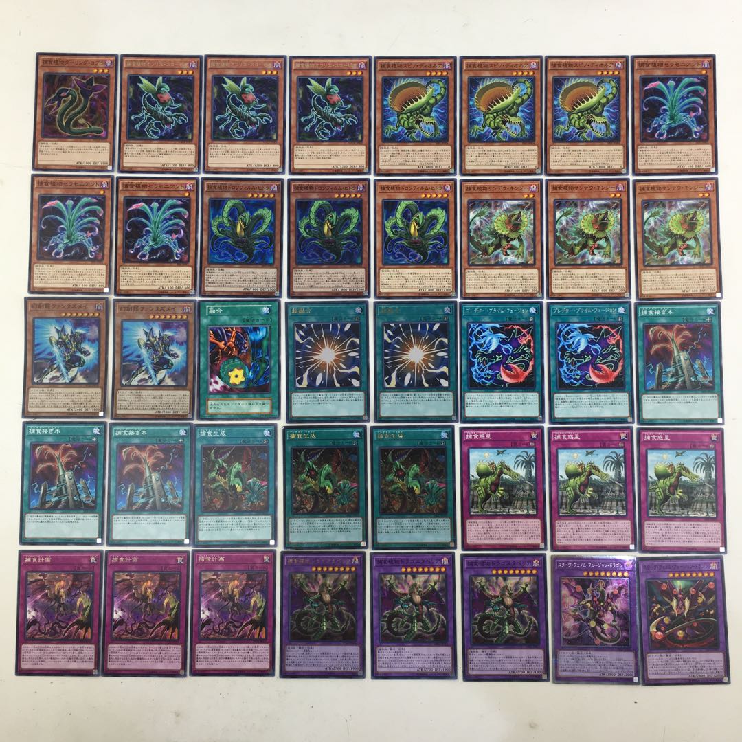 遊戯王　捕食植物 デッキパーツ 40枚