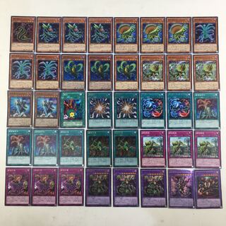 遊戯王　捕食植物 デッキパーツ 40枚