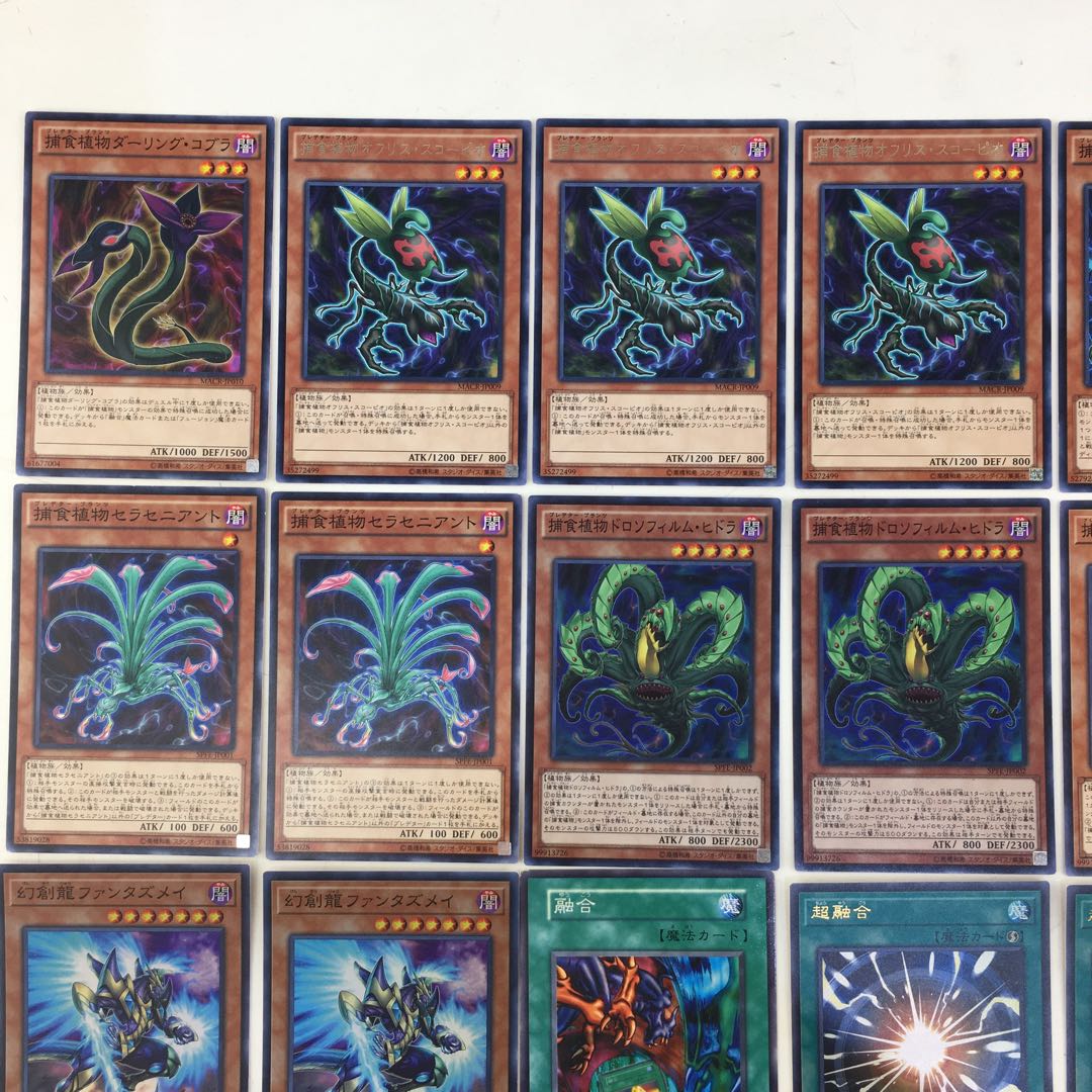 遊戯王　捕食植物 デッキパーツ 40枚