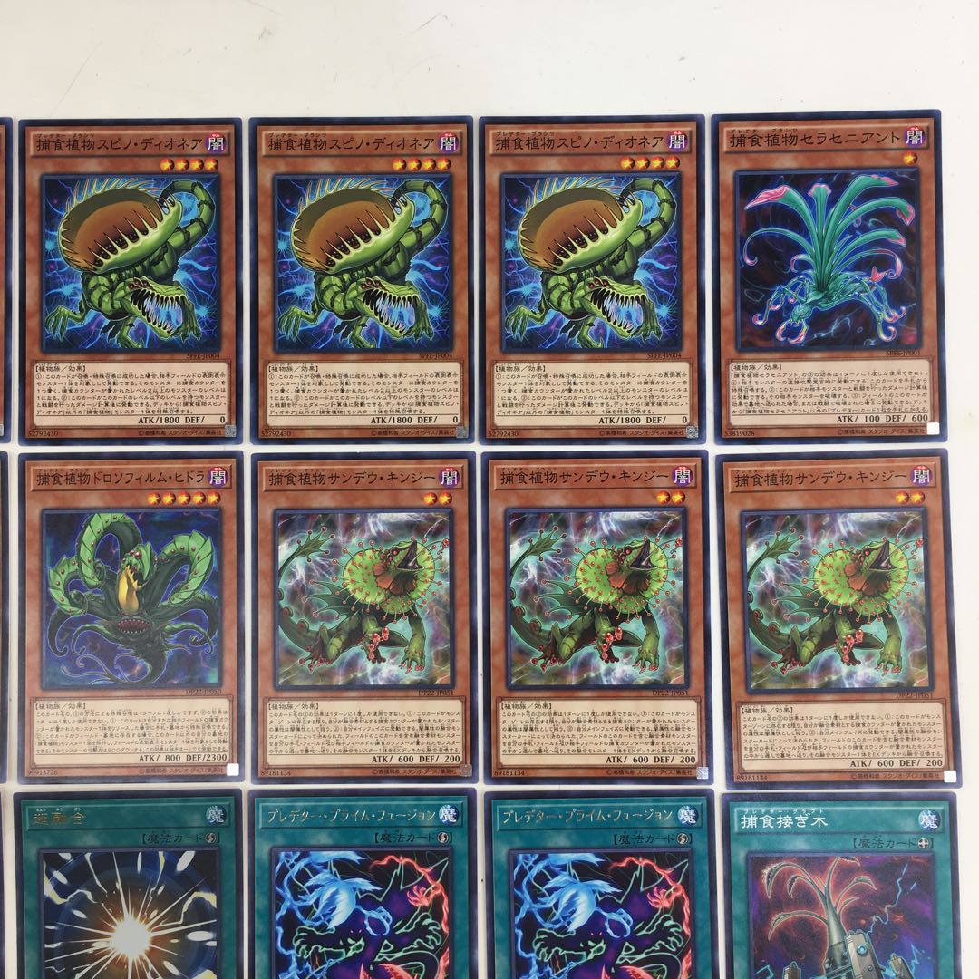 遊戯王　捕食植物 デッキパーツ 40枚