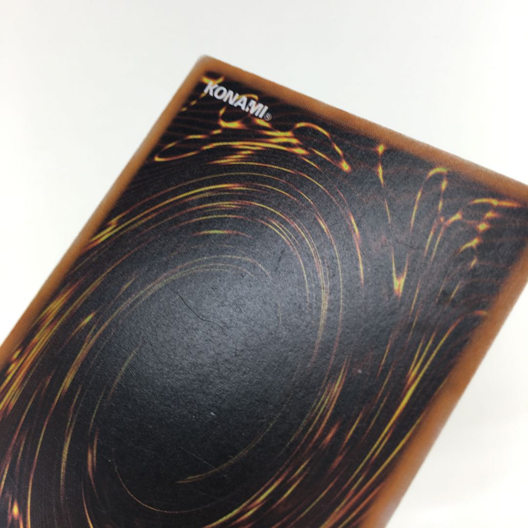 遊戯王　捕食植物 デッキパーツ 40枚