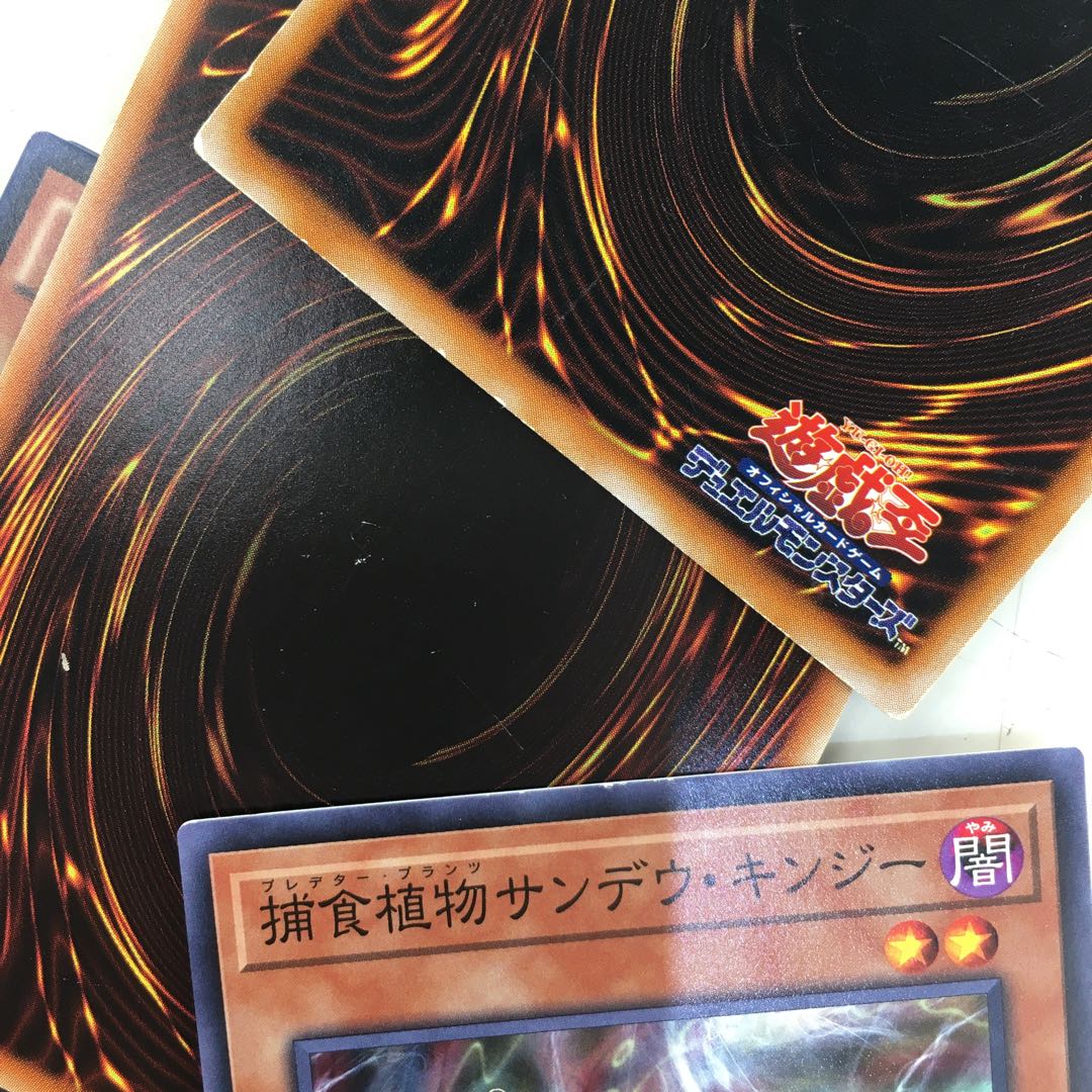 遊戯王　捕食植物 デッキパーツ 40枚