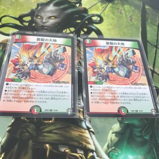 蒼龍の大地　2枚セット