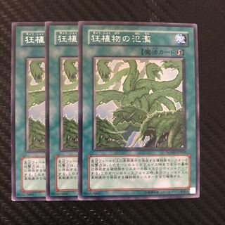 狂植物の氾濫 R