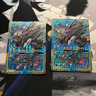 C.A.P アアルカカイト 1枚