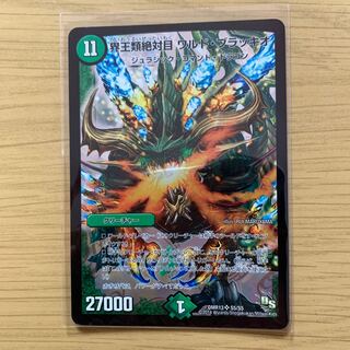 界王類絶対目 ワルド・ブラッキオ