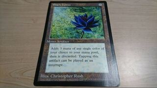 Black Lotus magic the gathering/大判カード
