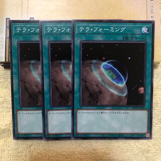 テラ・フォーミング N ノーマル　3枚　マホ子