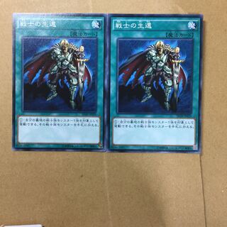 戦士の生還　２枚