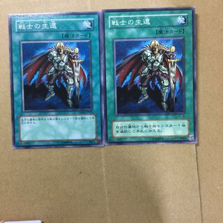 戦士の生還　２枚