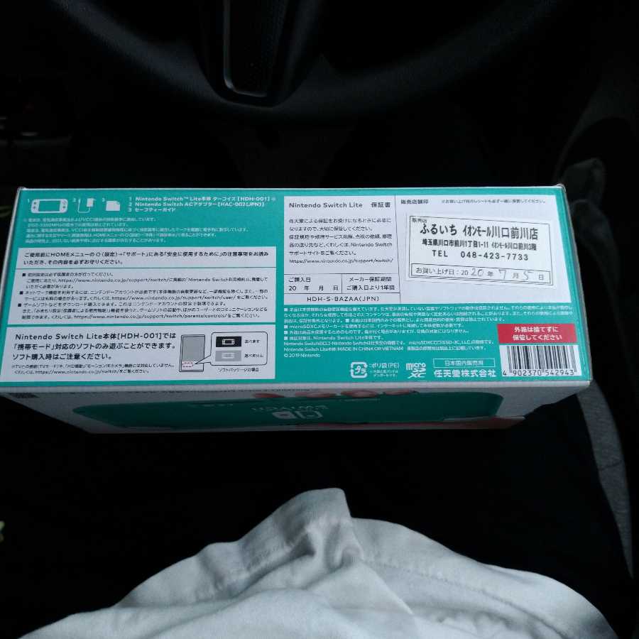 Nintendo Switch Lite