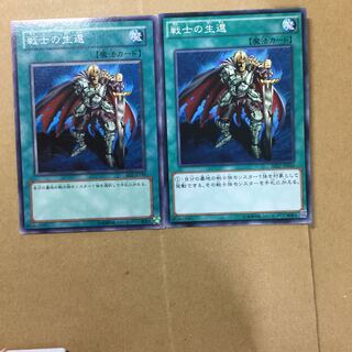 戦士の生還　２枚