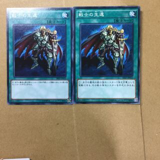 戦士の生還　２枚